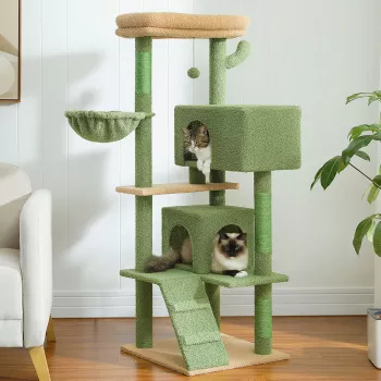 Top-Rated Cat Trees: How to Pick the #1 Option